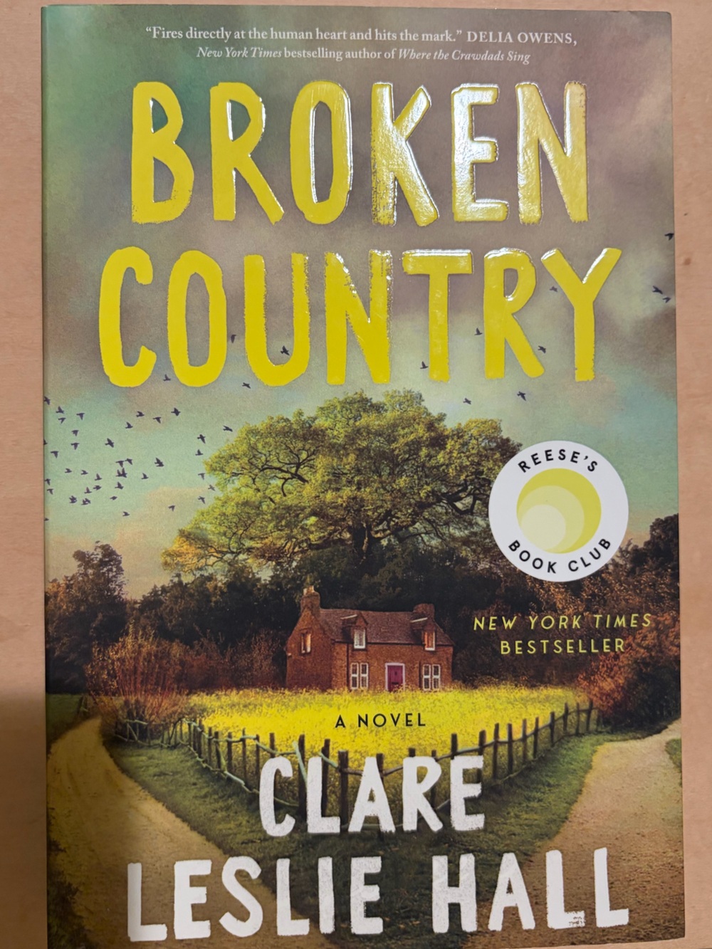 Broken Country by Clare Leslie Hall